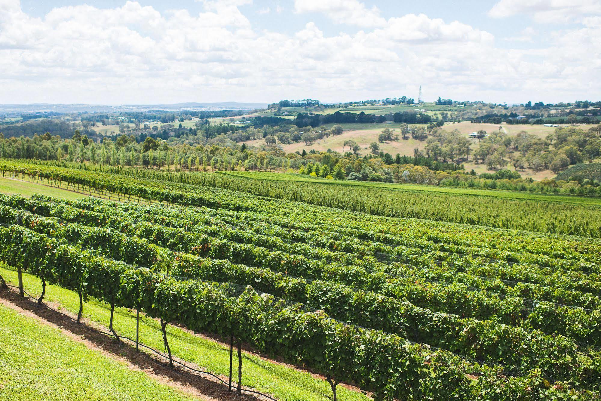 Hotel Borrodell Vineyard Orange Exterior foto